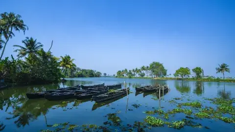 Kerala Backwaters & Hills Escape - 2