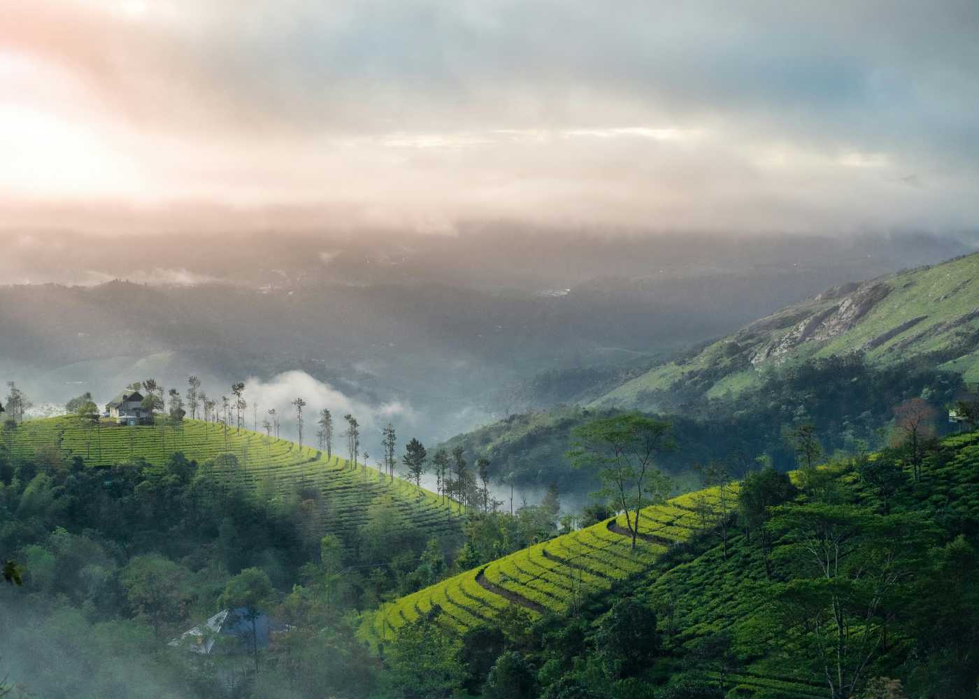 Kerala Backwaters & Hills Escape - 5